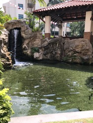 Casuarina Cove (D15), Condominium #176926452
